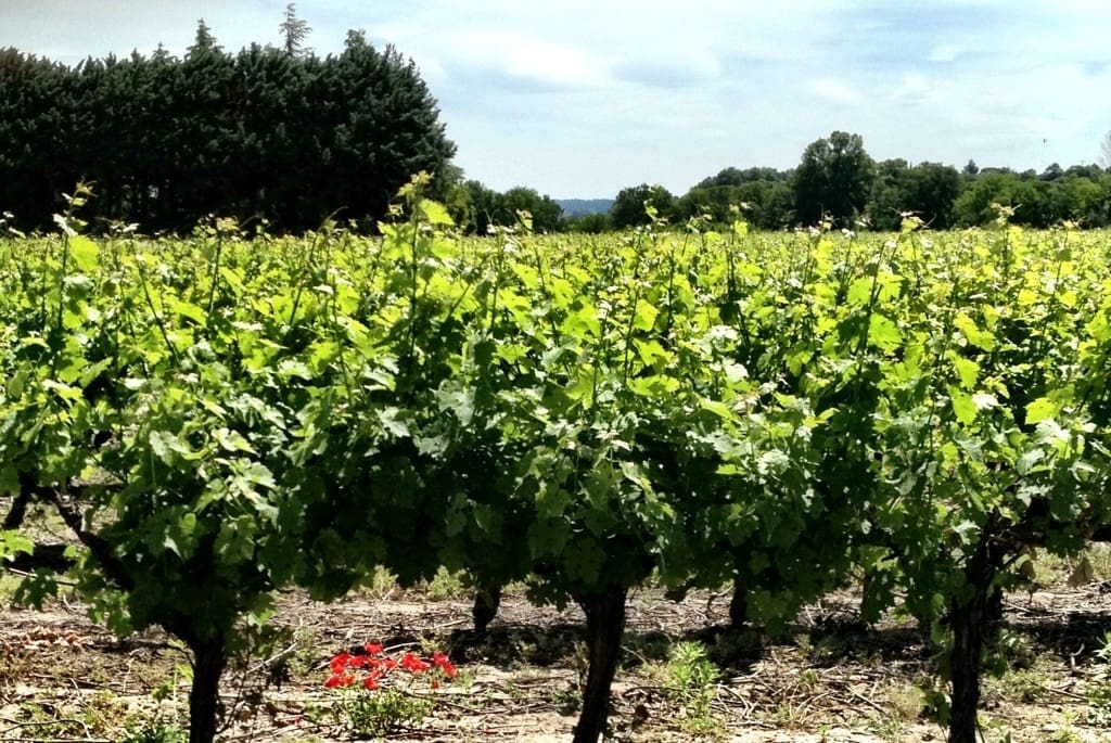 Outside Uzes