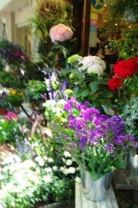 Saturday market Uzes France