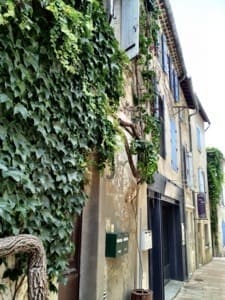 Van Gogh's Trail