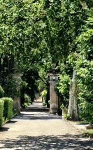 Van Gogh's Trail
