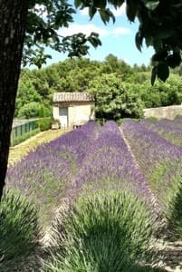 visit to Provence