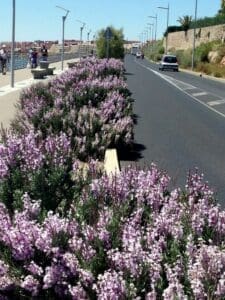 Sete, a French beach holiday site