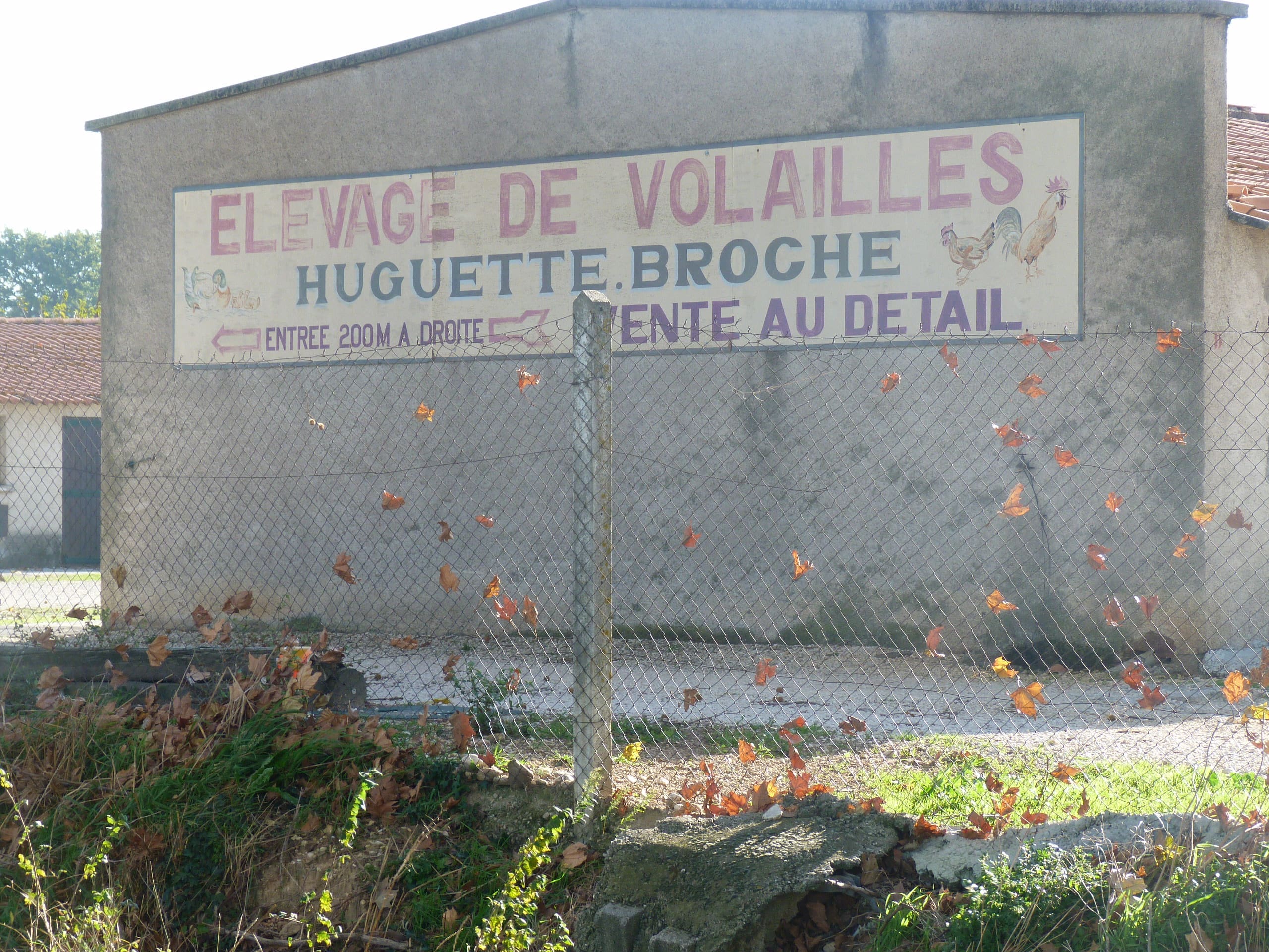 Thanksgiving in France 