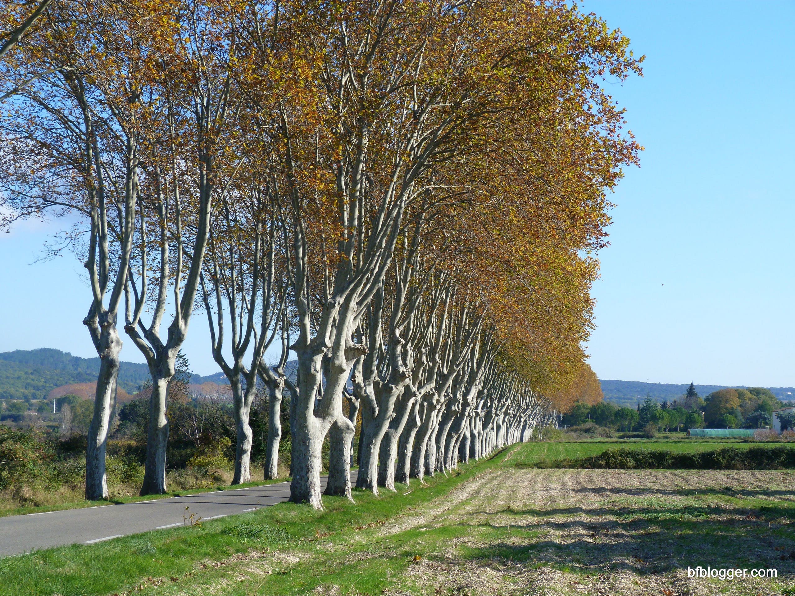 Le mistral