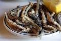 White bait fish
