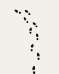 1195438066435295966footprints_cefa_02.svg.hi