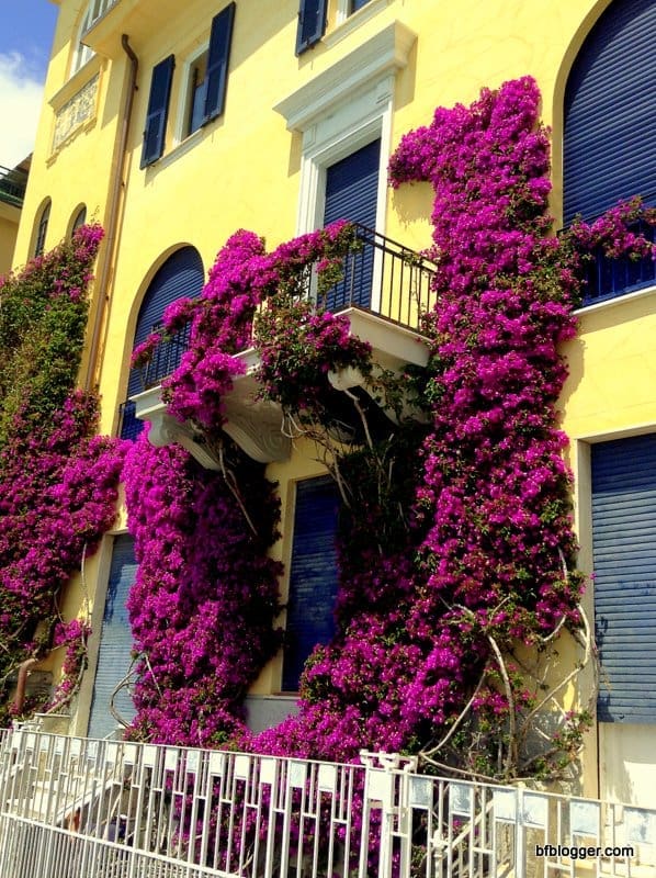 Visit Cinque Terre