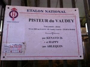 Sundays in Uzès