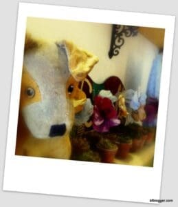 L'Atelier des Ours in Uzes, France 
