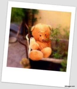 L'Atelier des Ours in Uzes, France L'Atelier des Ours in Uzes, France