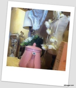 L'Atelier des Ours in Uzes, France L'Atelier des Ours in Uzes, France