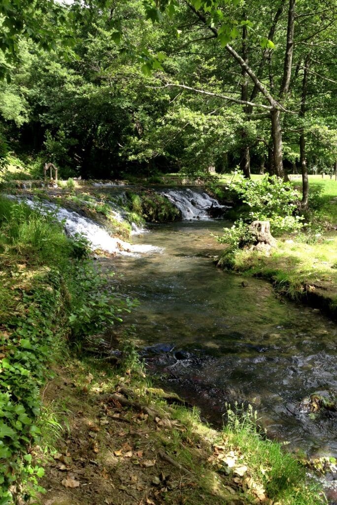 River runs through the valley 