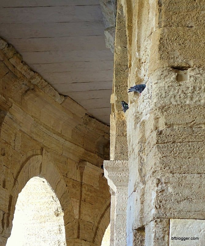 Uzes Day Trip