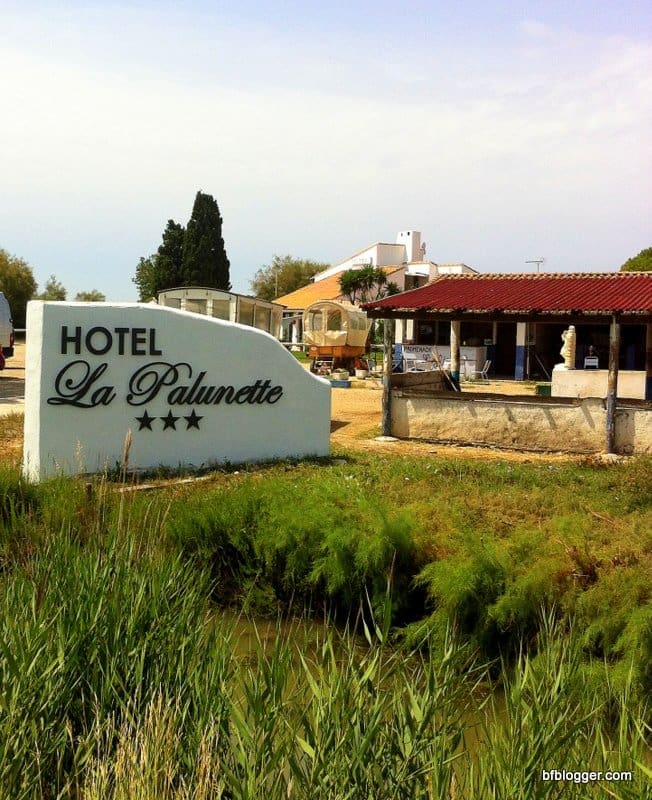 Camargue region Camargue region