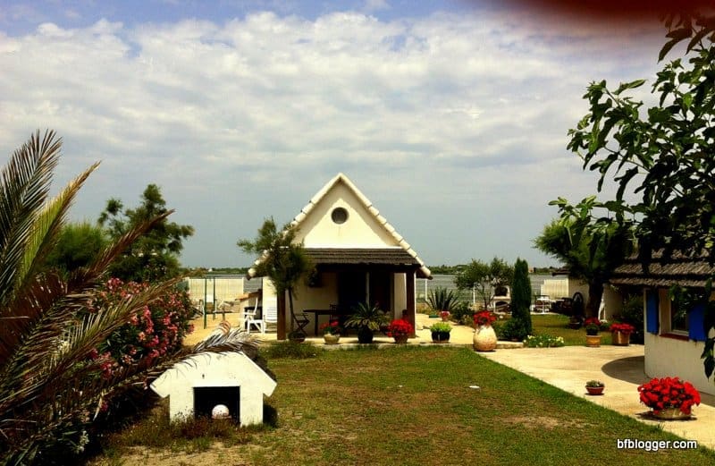 Camargue region