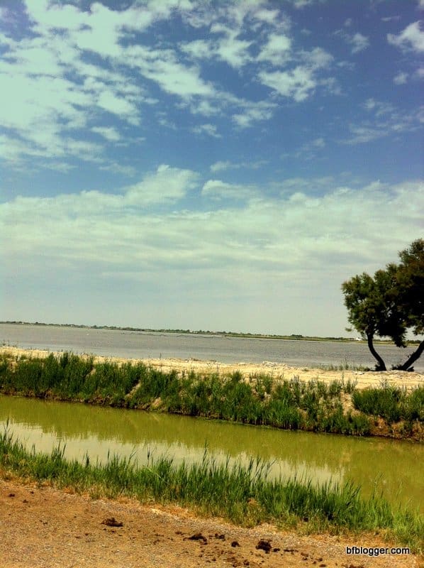 Camargue region Camargue region