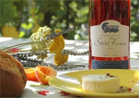 Domaine Saint Firmin in Uzes, France