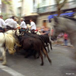 Fête Votive