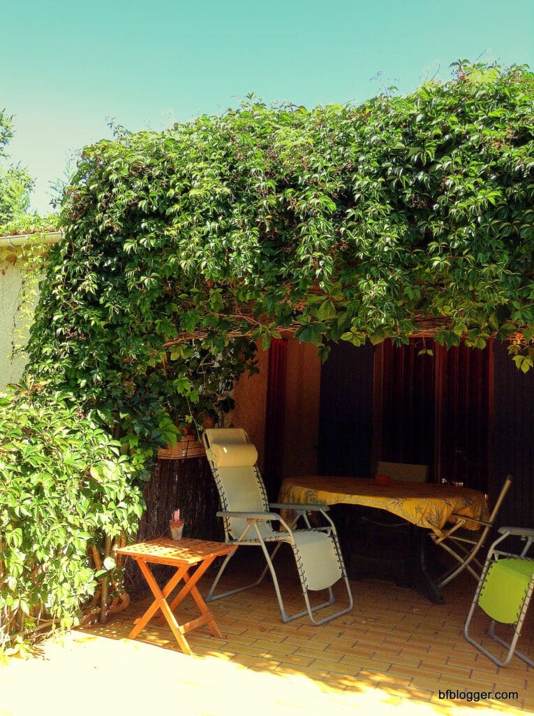 Virginia Creeper provides shade for French terraces