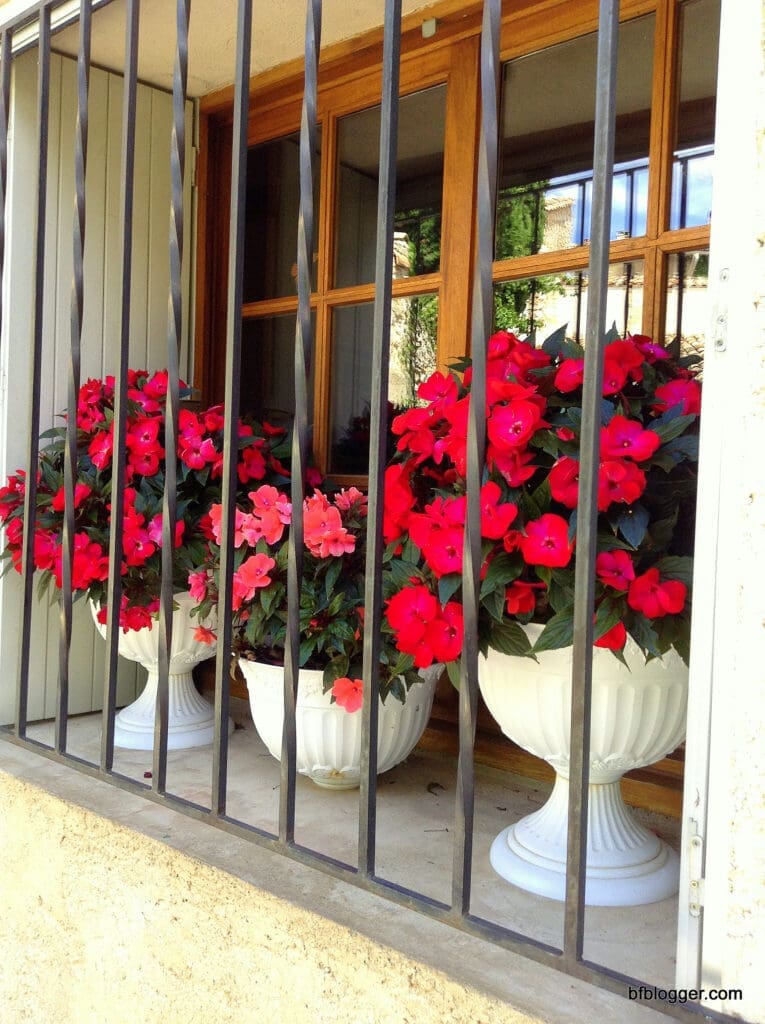 Flowers are everywhere