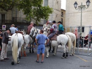 Horse and riders from the Camargue wait for the action to start.
