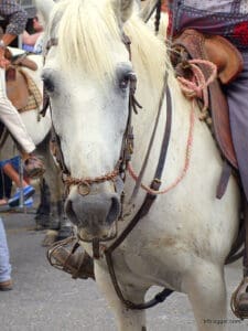 Fête Votive