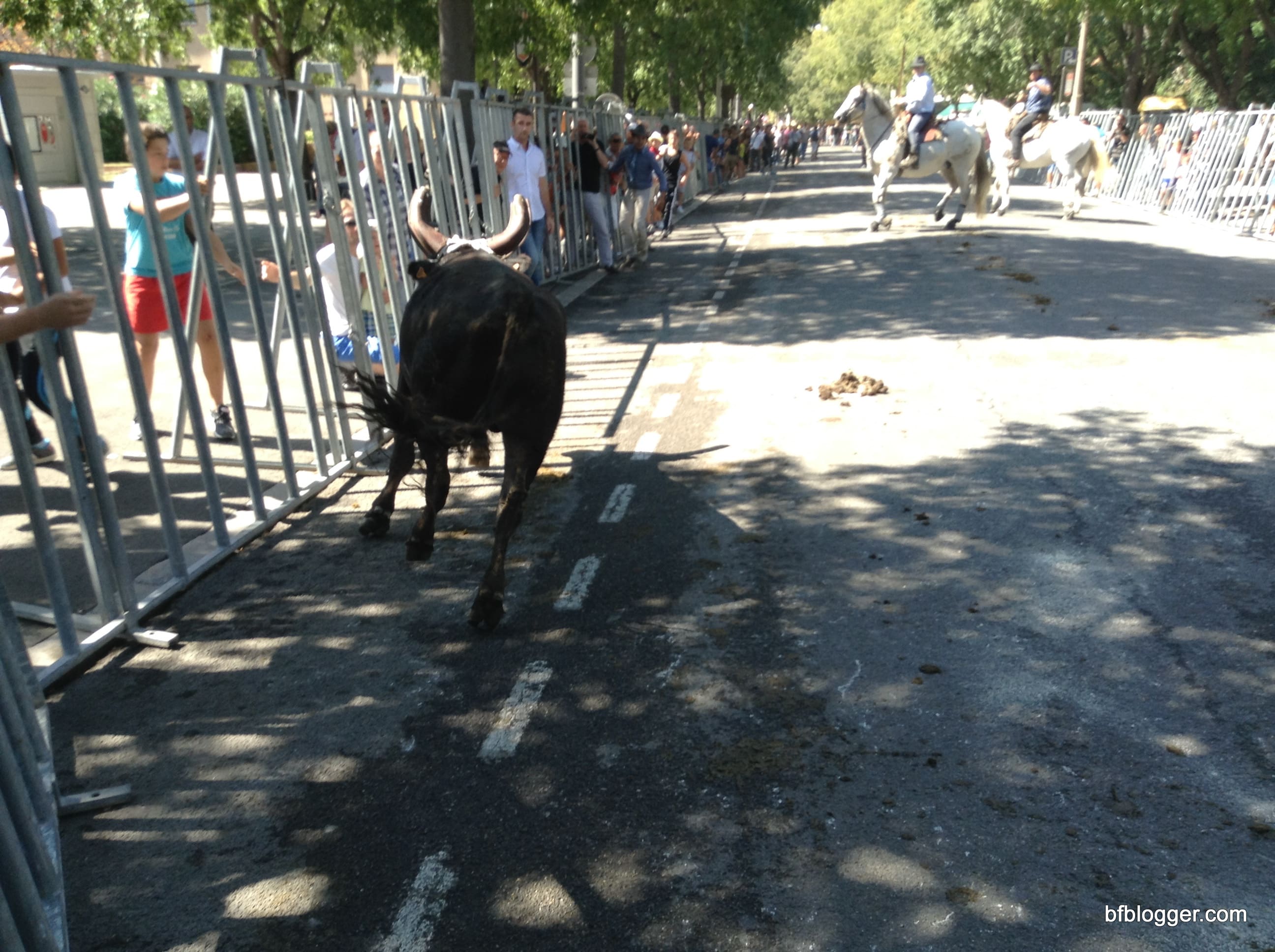 Arles