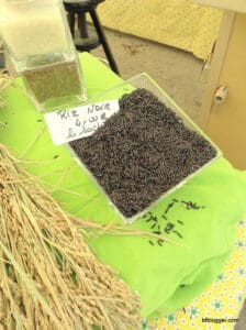 Arles' Feria du Riz