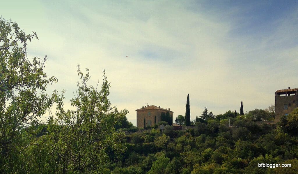 Chateaus and tall cedars in the distance