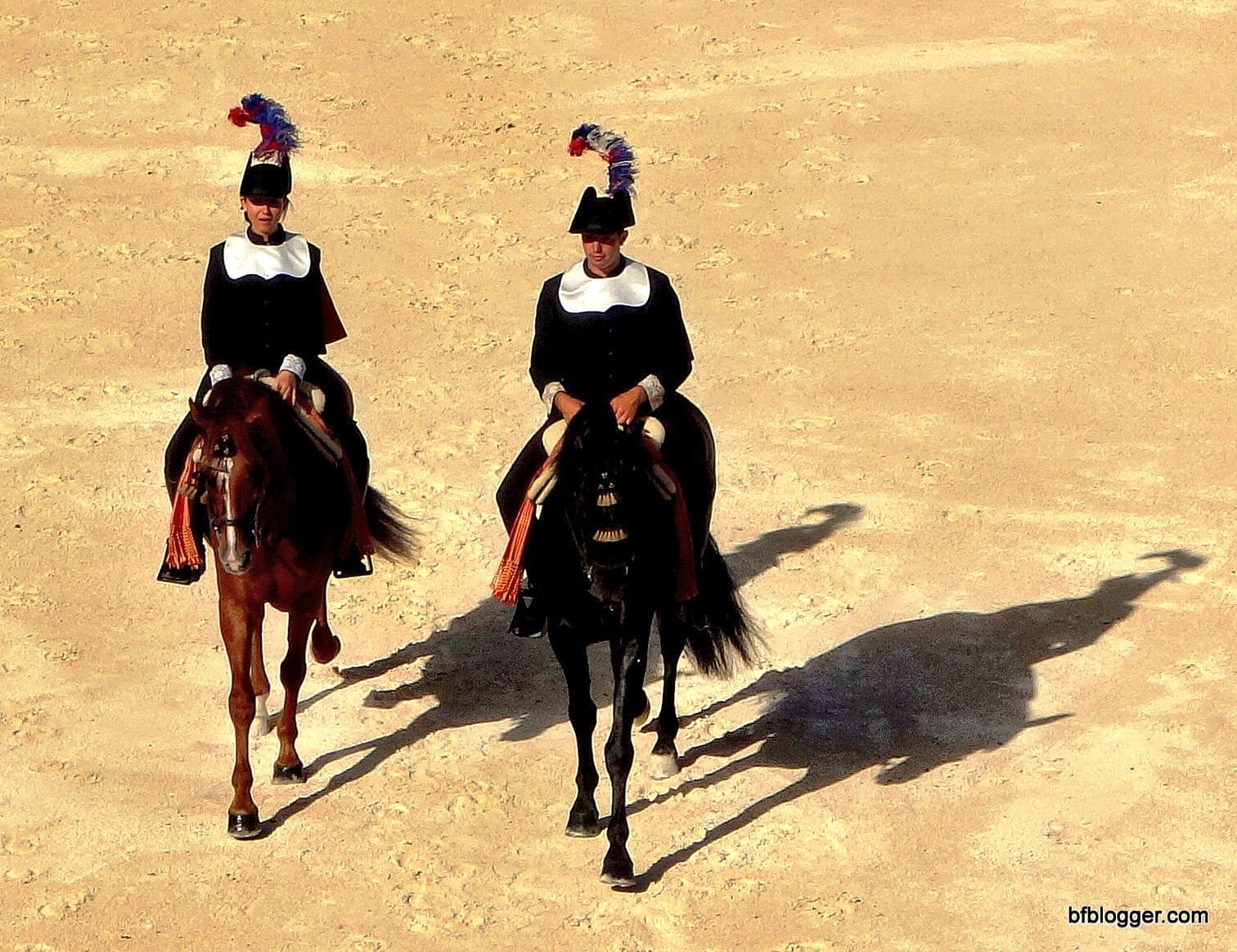 French bullfight