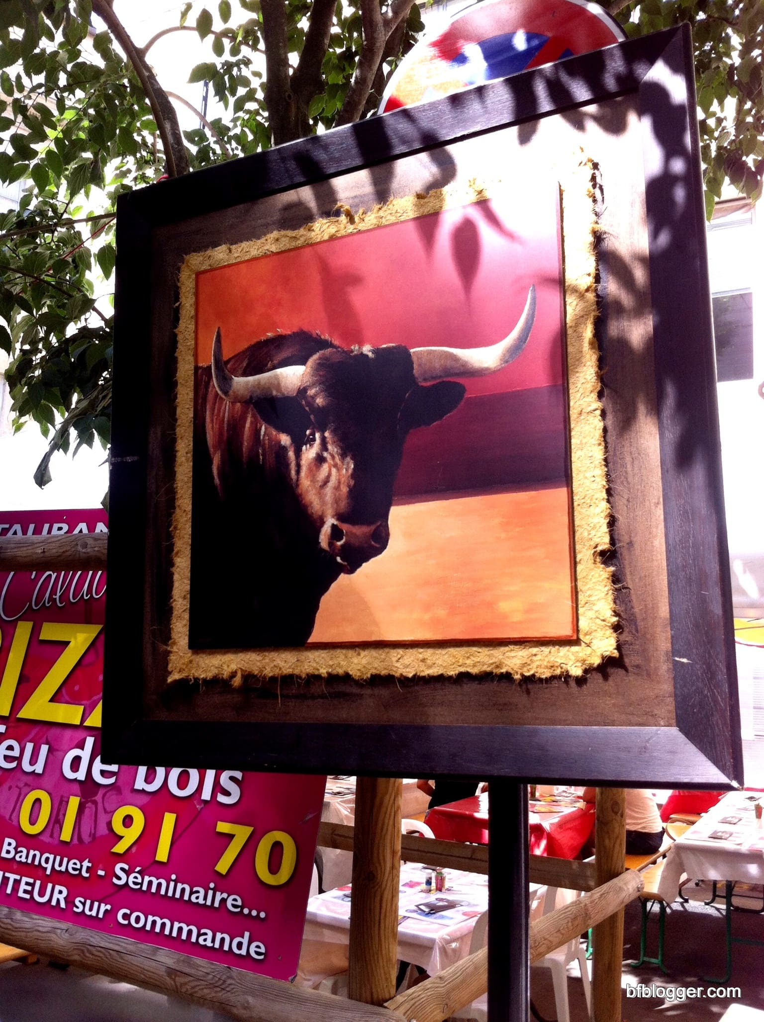 French bullfight
