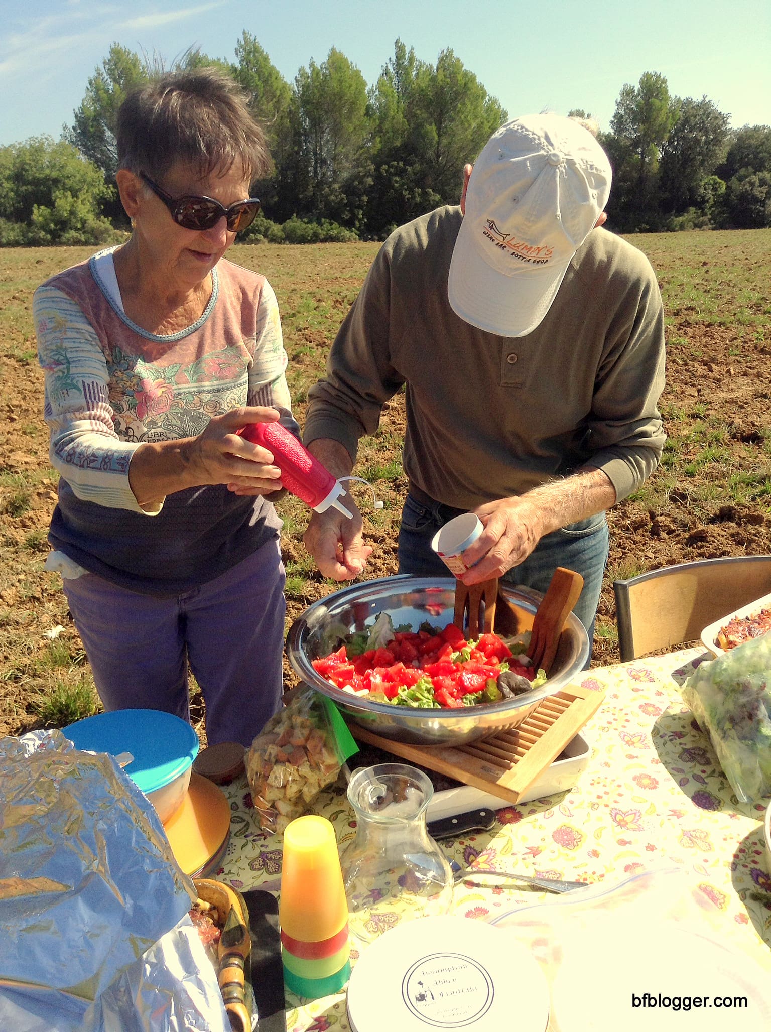 Vendange at Castillon-du-Gard