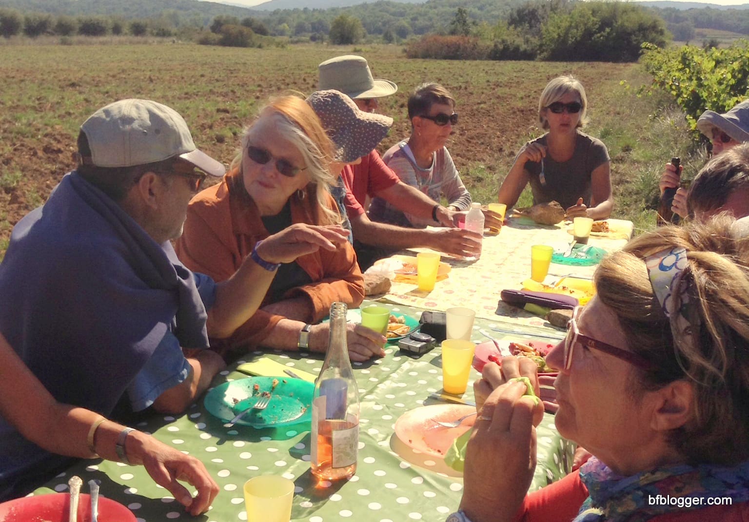Vendange at Castillon-du-GardLe 