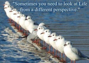 different-perspective