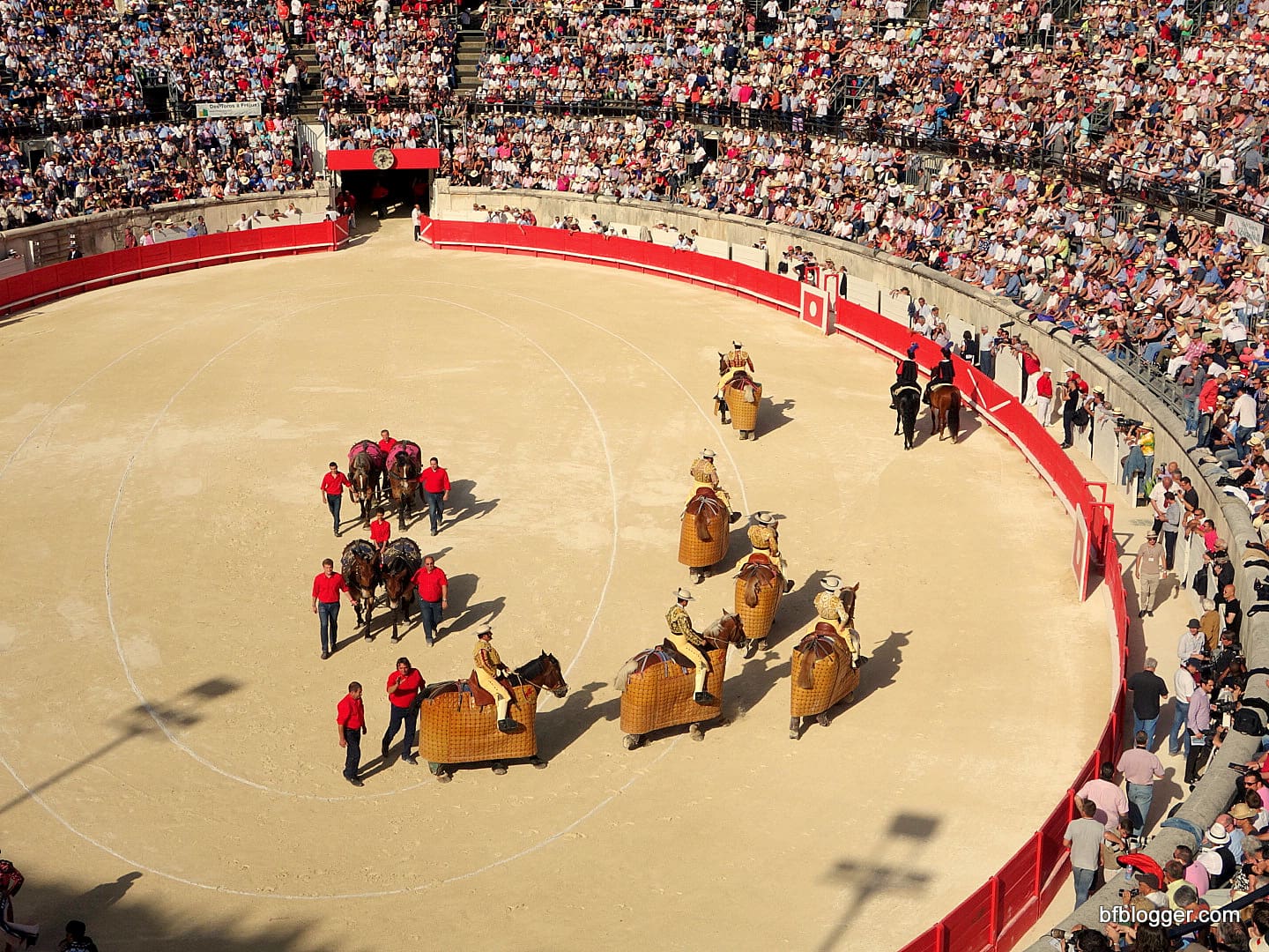 Bullfight