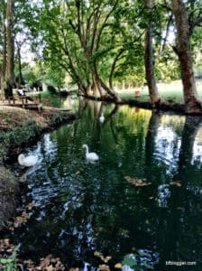 An Unforgettable Day in Uzès