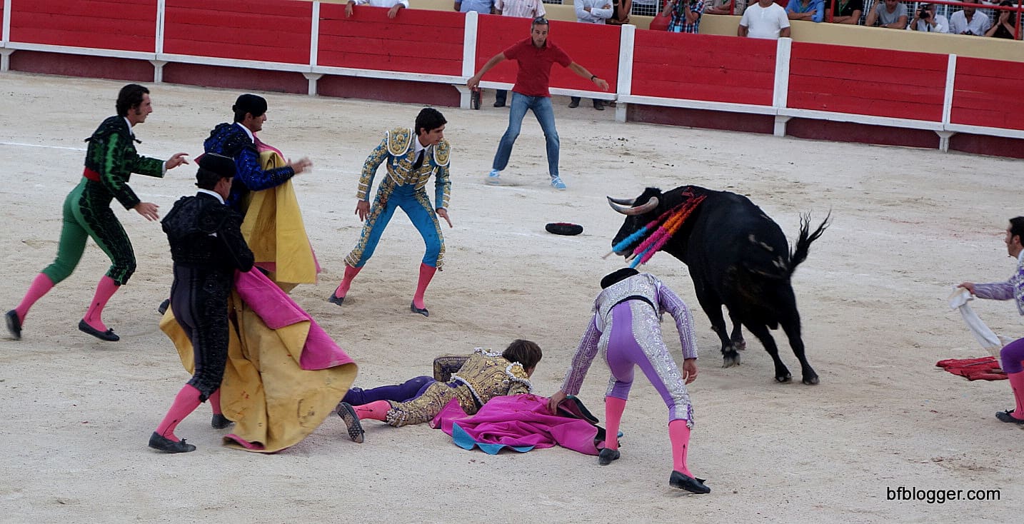 bullfight
