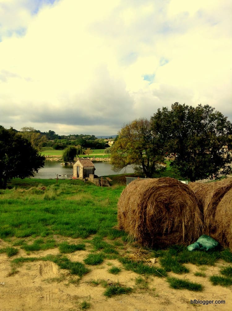 French Farmer French Farmer