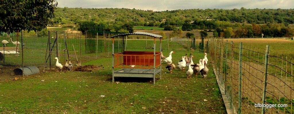 French Farmer