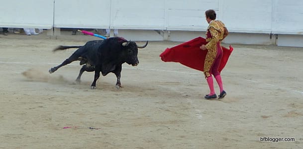 bullfight