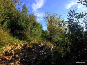 Rocky path at Vallee de l'Eure