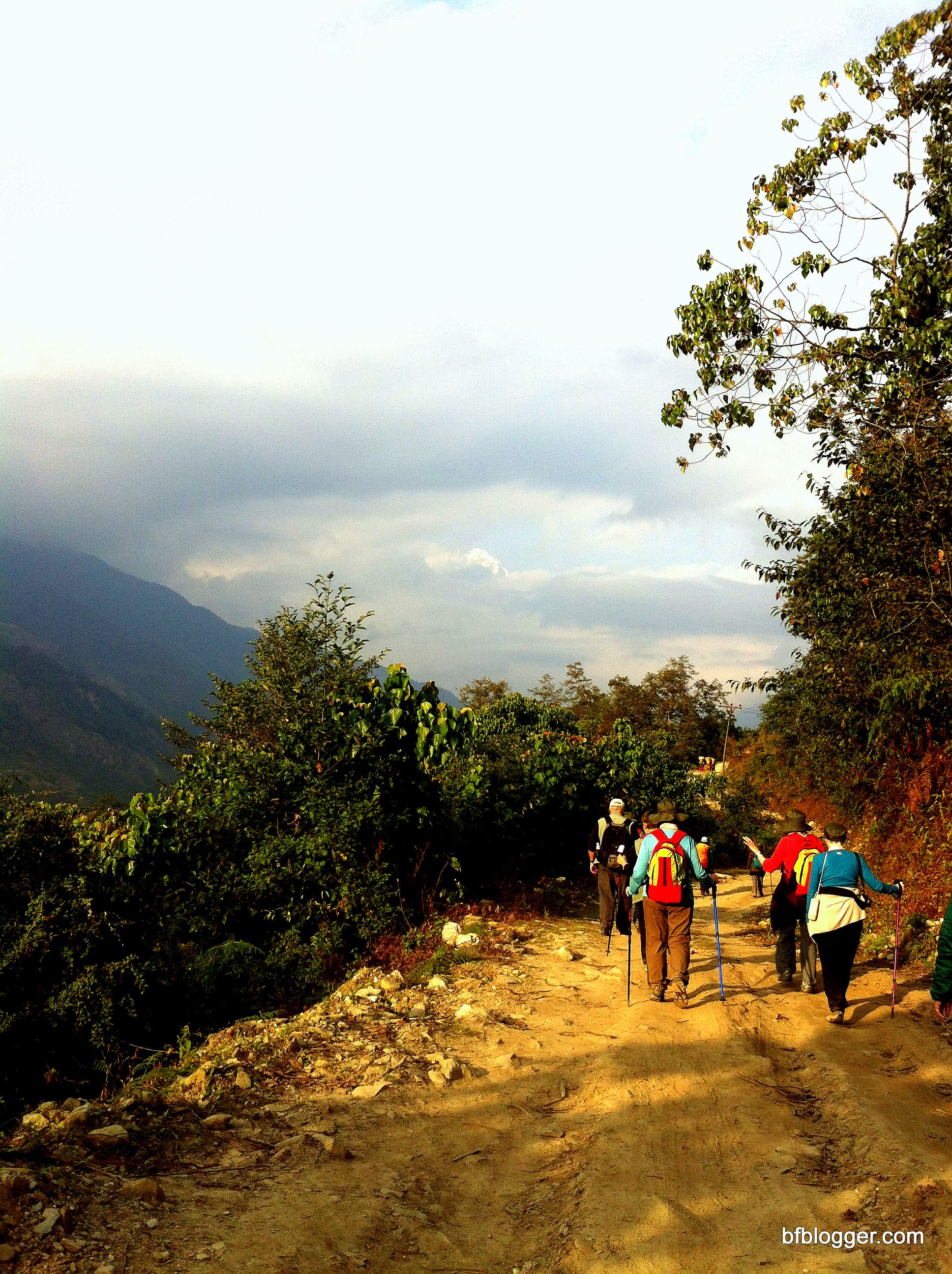 Trekking group on the way to lodge