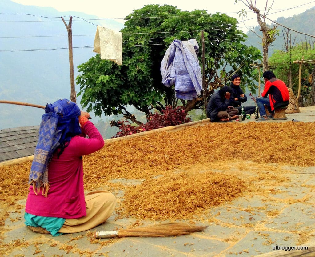 Woman beating millet as village men look on.