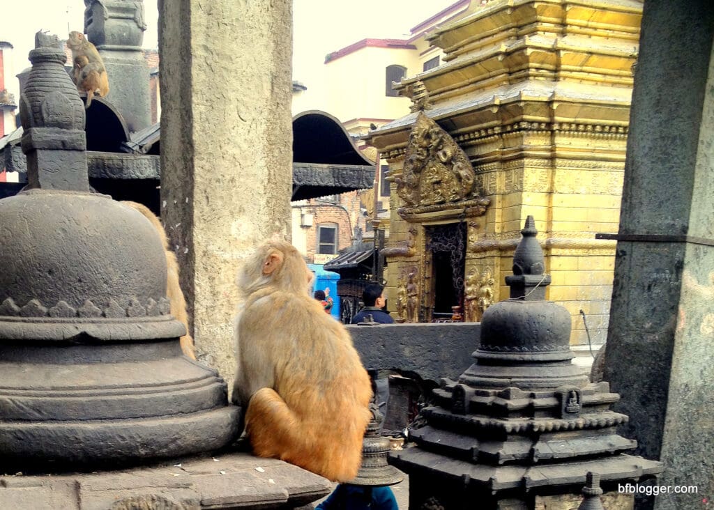 Monkey Temple, Kathmandu