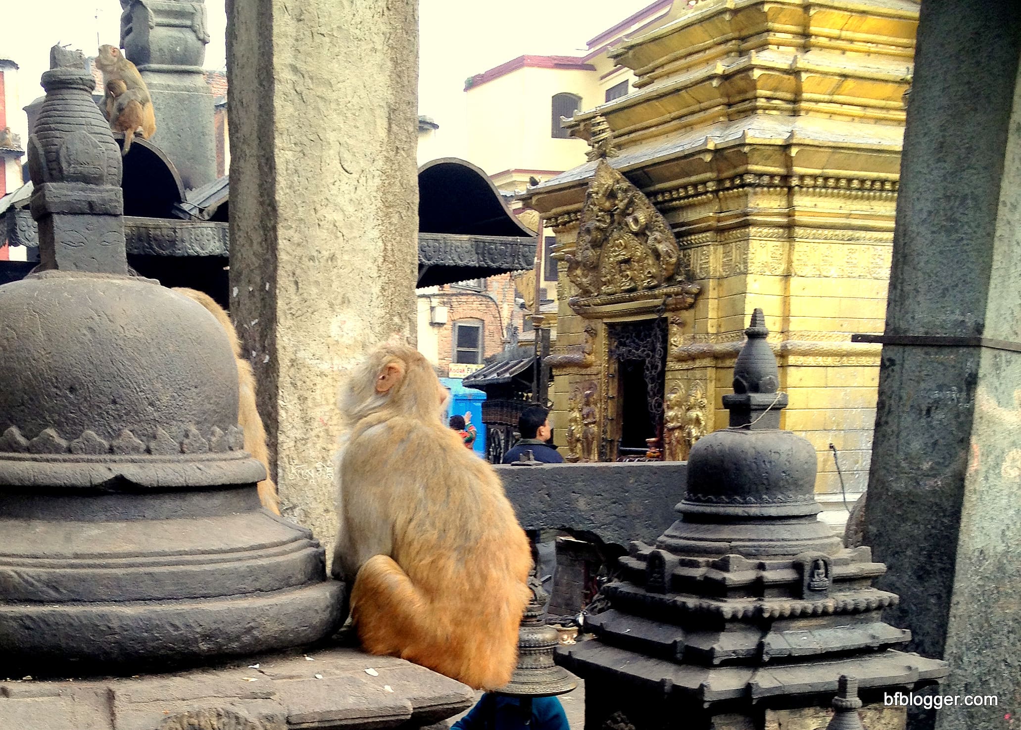 Monkey Temple, Kathmandu