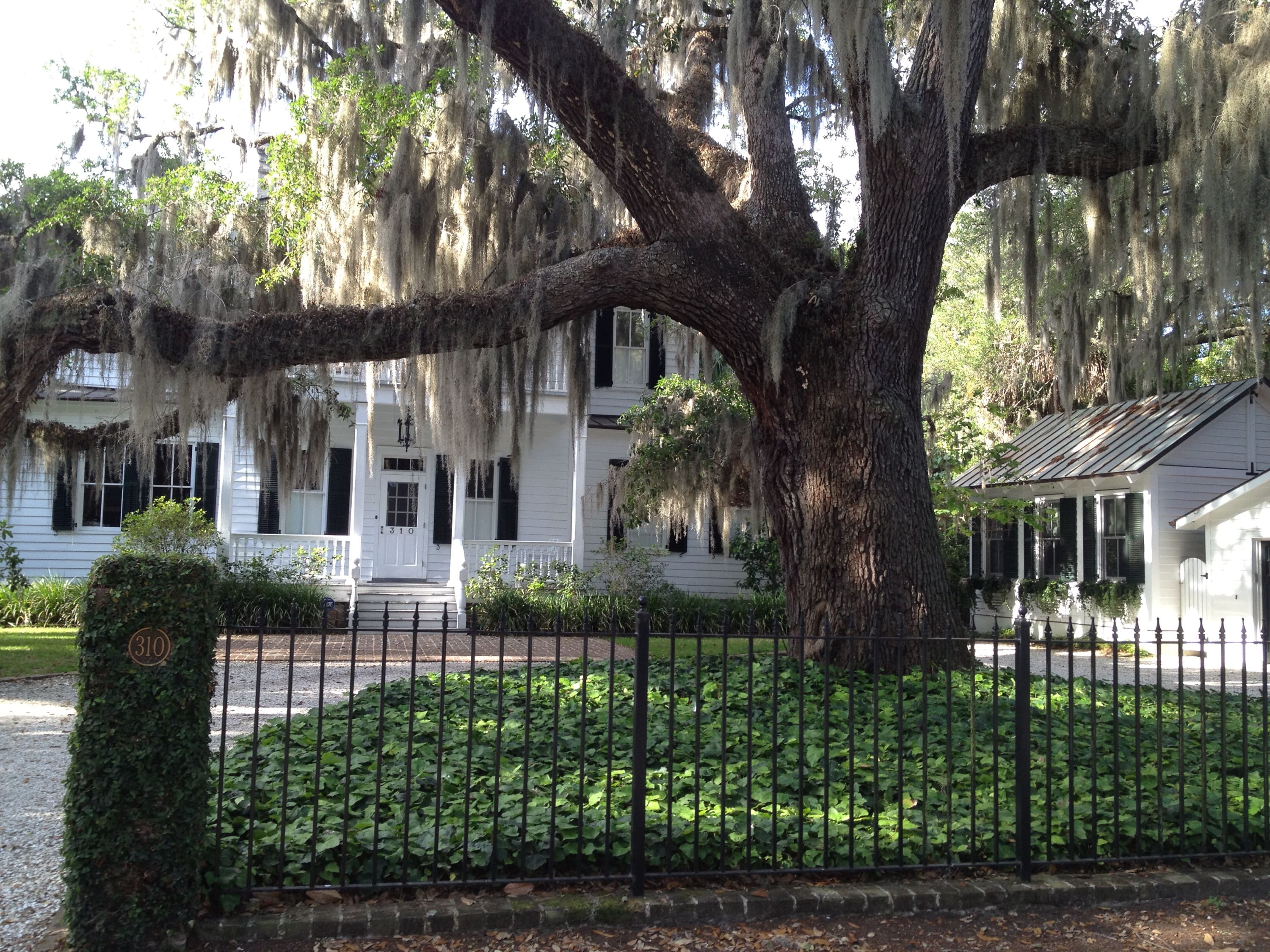 Back to Beaufort