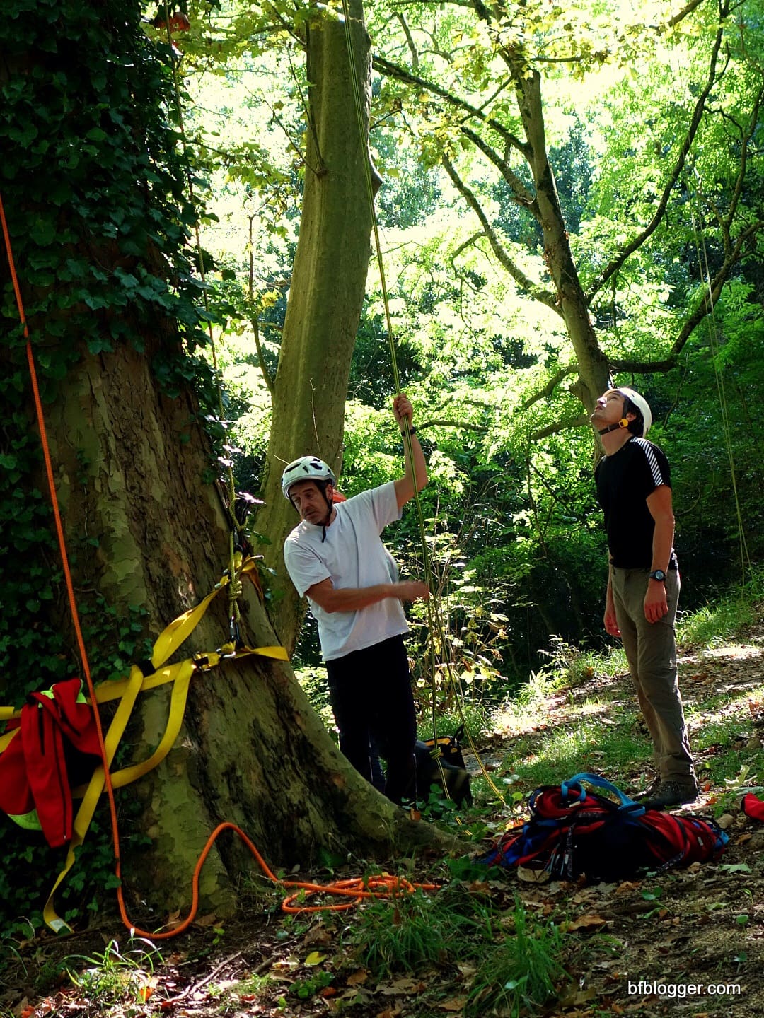 Tree sports in Uzès Tree sports in Uzès