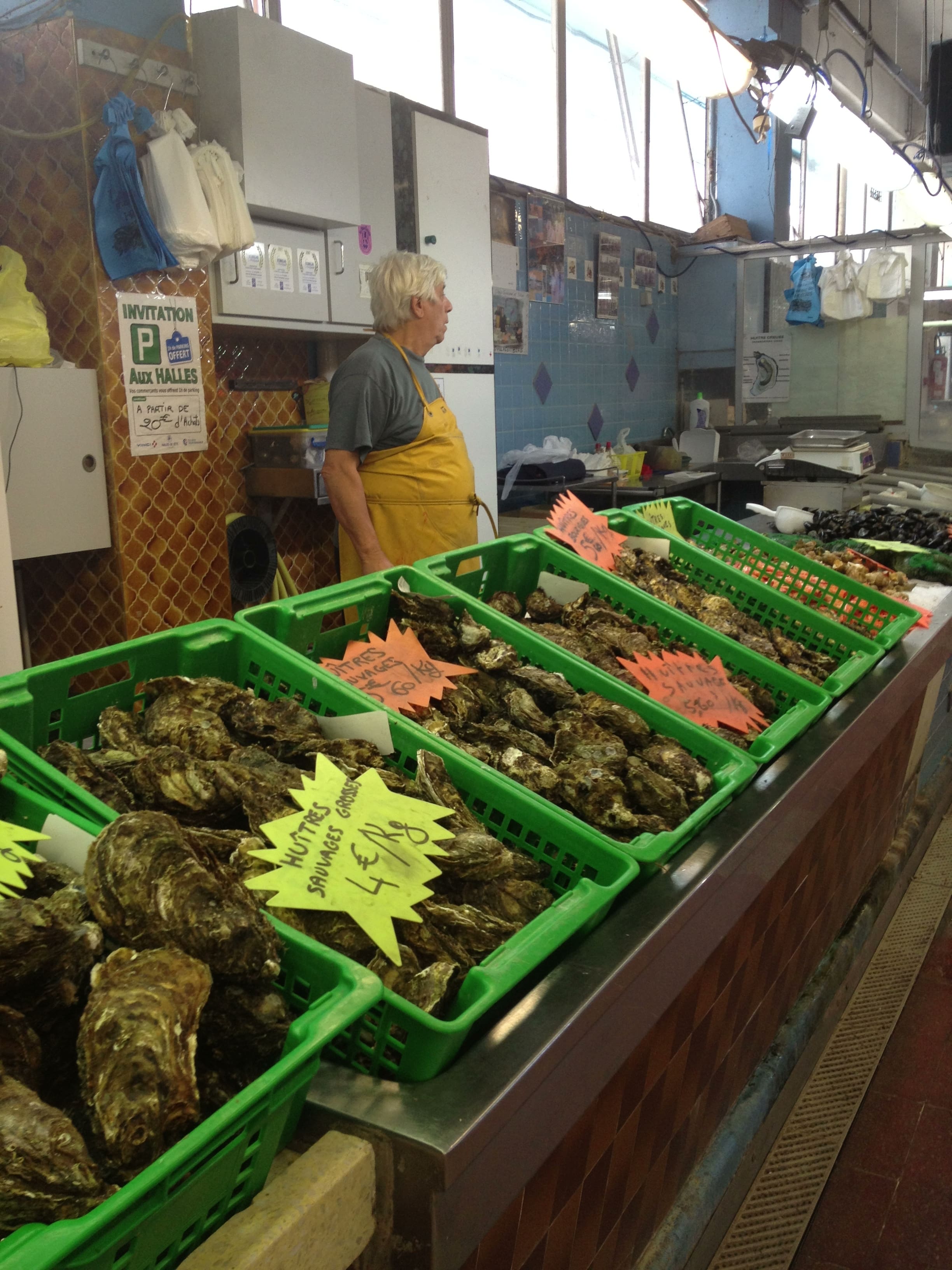 World's Best Oysters