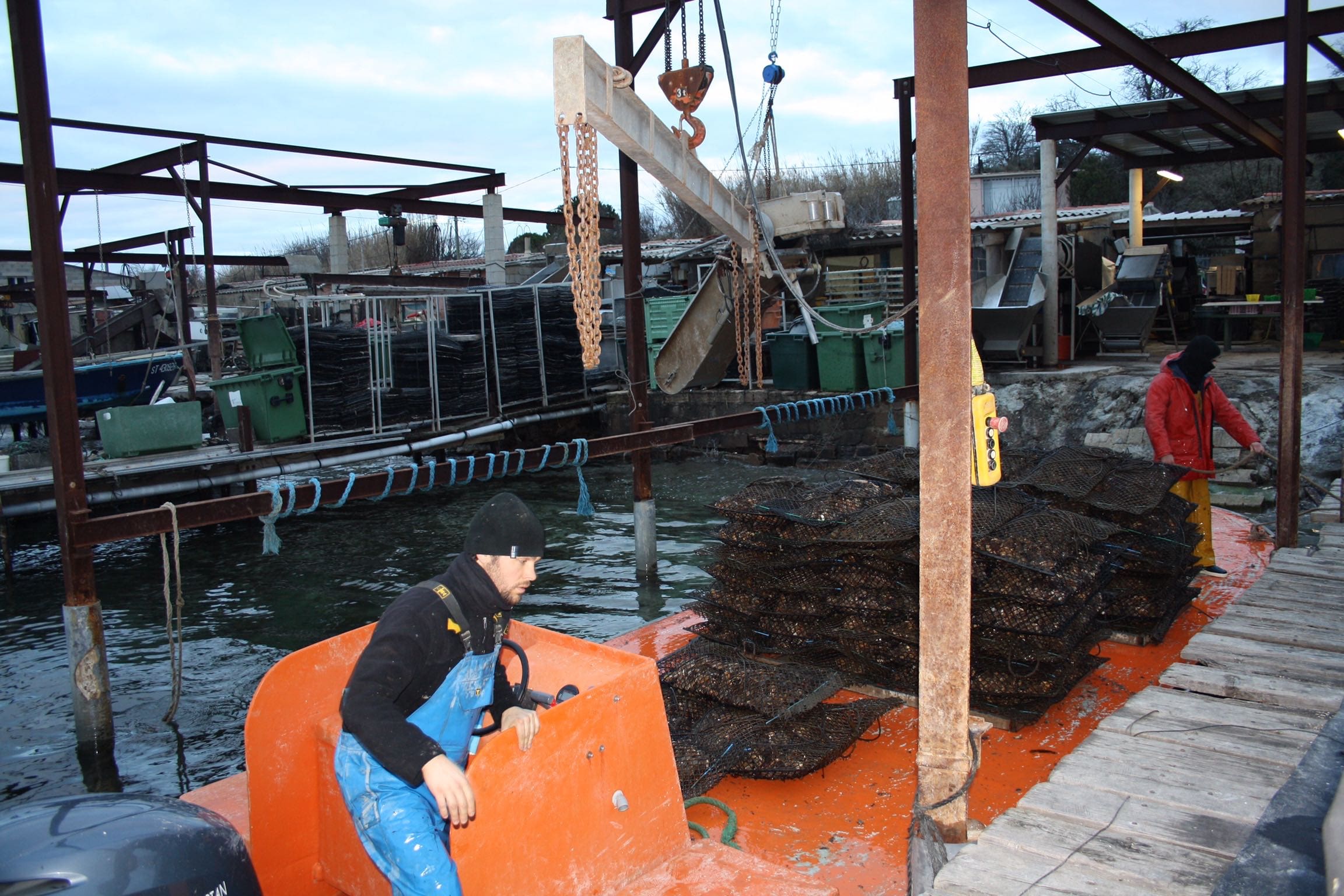 World's Best Oysters