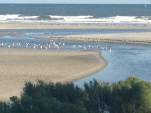 Myrtle Beach, SC